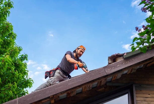 Best Emergency Roof Repair Services  in Landen, OH